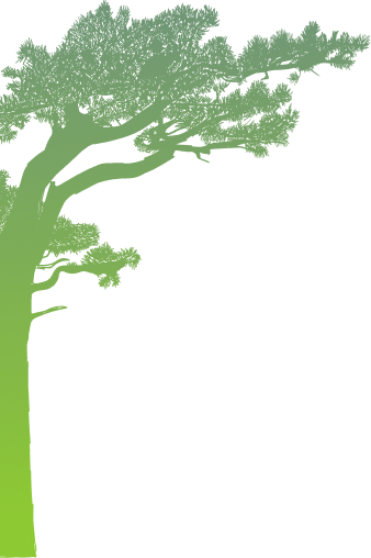 Green Cambodia