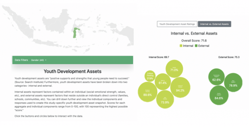 I4DI advanced data visualization example: Youth Developmental Assets Indonesia