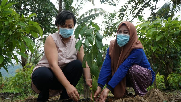 Cocoa Farmers in Indonesia