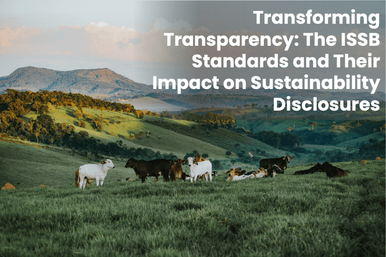 Transforming Transparency: The ISSB Standards and Their Impact on Sustainability Disclosures