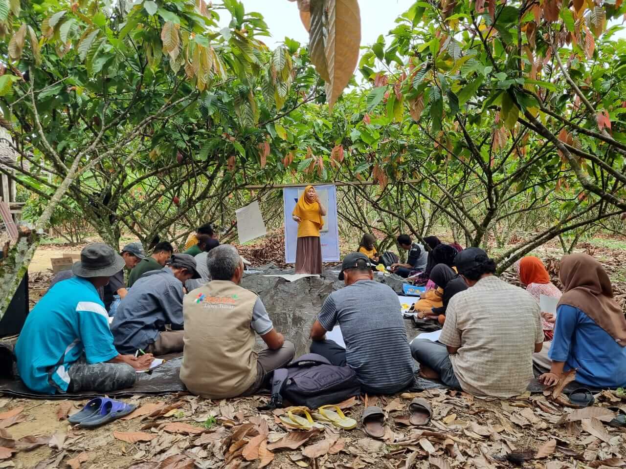 Indonesia | Institute for Development Impact