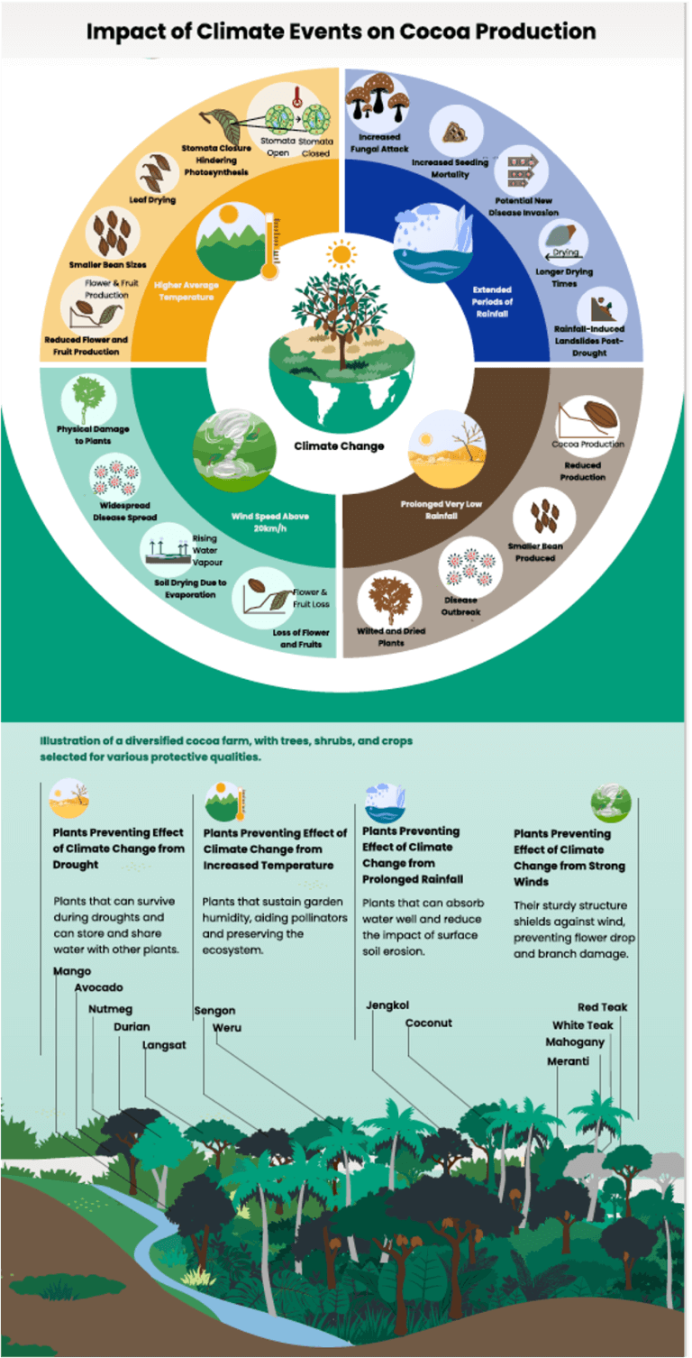 Agroforestry infographic