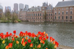 Dutch Government Building