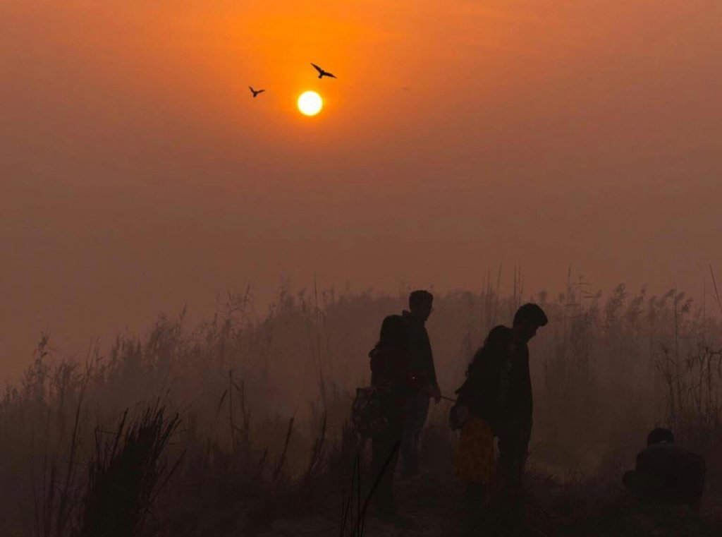 Two Men Walking on the Grass During Sunset
