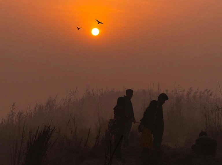 Two Men Walking on the Grass During Sunset