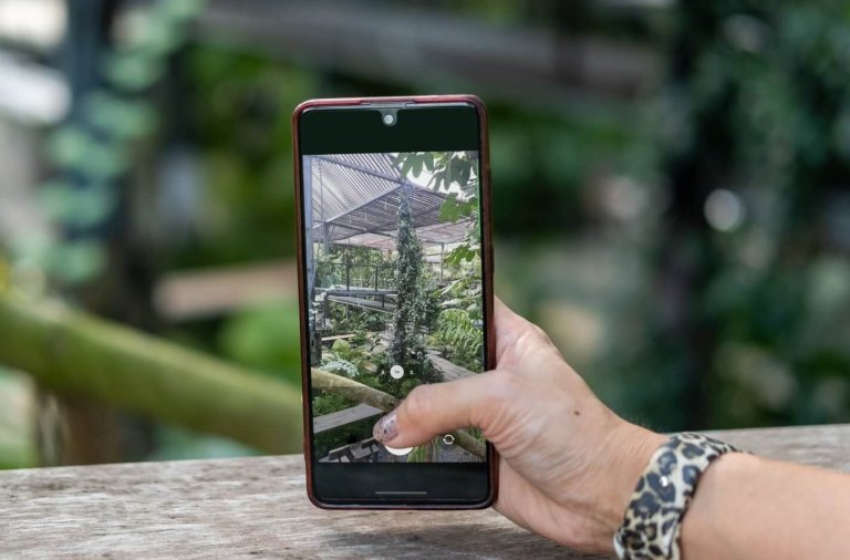 Digital Tools, Climate Literacy: Woman's hand holding a mobile phone taking pictures of a botanic