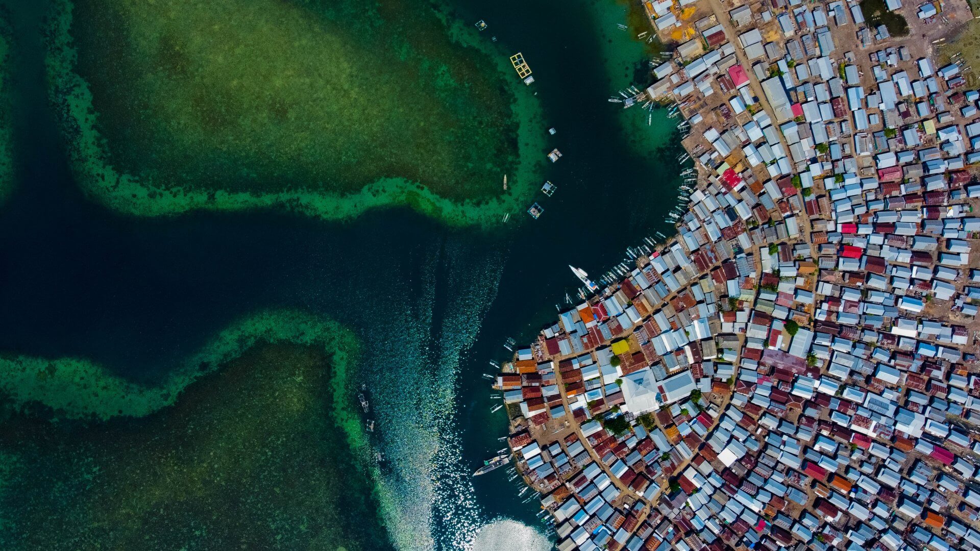<a href="https://i4di.org/global-sustainability/">Global Sustainability</a>