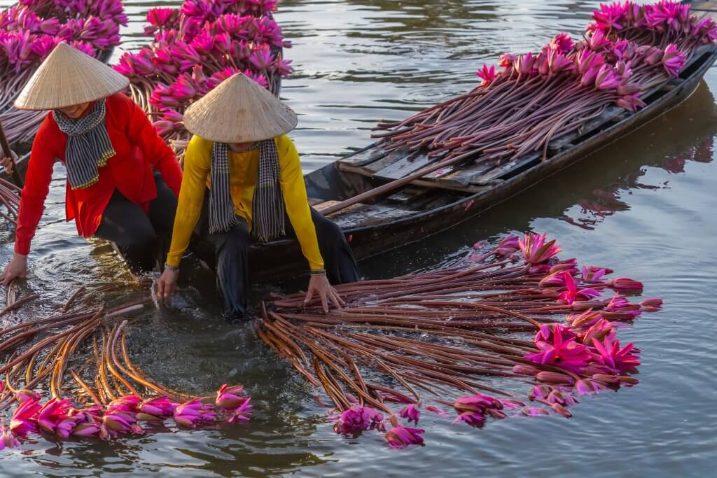 Water market farmers